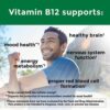 Nature Made vitamin b12
