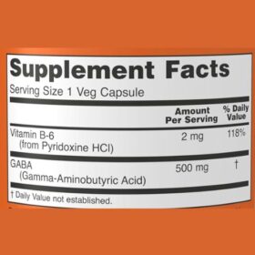 NOW Foods GABA 500 mg Capsule