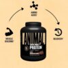 Animal 100% Whey Protein Powder in Bangladesh